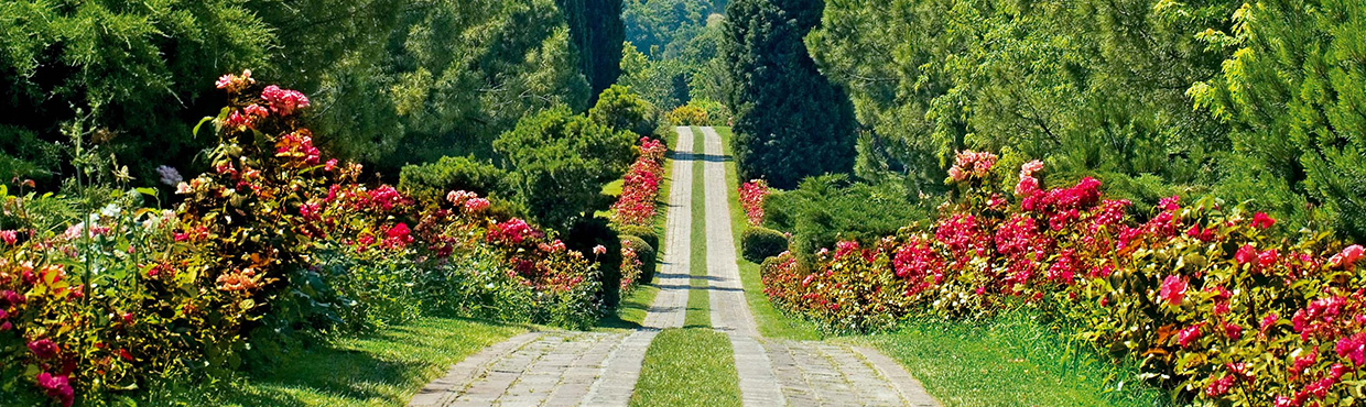 Hotel per Parco Sigurtà