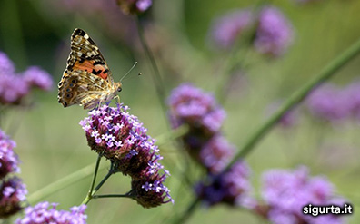 Parco Sigurtà